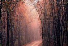 莱比锡红牛表现强劲，斩获三分