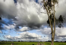 利物浦主场战胜亚特兰大，提前晋级淘汰赛