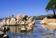 梅西在意大利联赛中再次献上绝杀